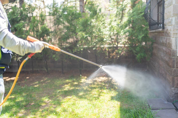 Best Fumigation Services  in Locust Valley, NY